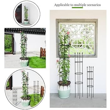 棘.PLANTS Amazon.com : ZXCVASDF Plant Climbing Frame,Garden Trellis